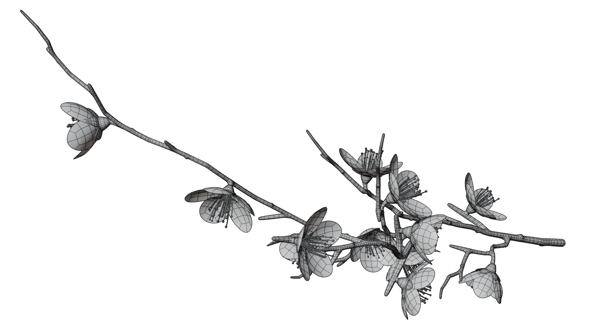 Sakura Branches 09 model https://p.turbosquid.com/ts-thumb/0h/DGotA2/S2/sakurabranches_09_wire_02/png/1729598036/1920x1080/fit_q87/49e89c68aa8449304e1e6030c1fb39d641d0c9e6/sakurabranches_09_wire_02.jpg