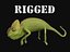 rig chameleon max