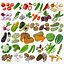 Cartoon Vegetables Big Collection