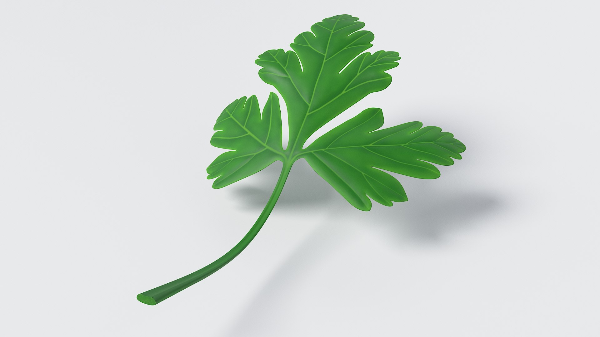 Cartoon Vegetables Big Collection 3D model https://p.turbosquid.com/ts-thumb/0h/H1Z4iK/4s/10_parsley_02/jpg/1686568479/1920x1080/fit_q87/504a4200f7ff087778b6fa374399634b6077f39d/10_parsley_02.jpg