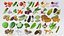 Cartoon Vegetables Big Collection