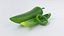 Cartoon Vegetables Big Collection