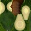 Cartoon Vegetables Big Collection