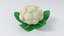 Cartoon Vegetables Big Collection