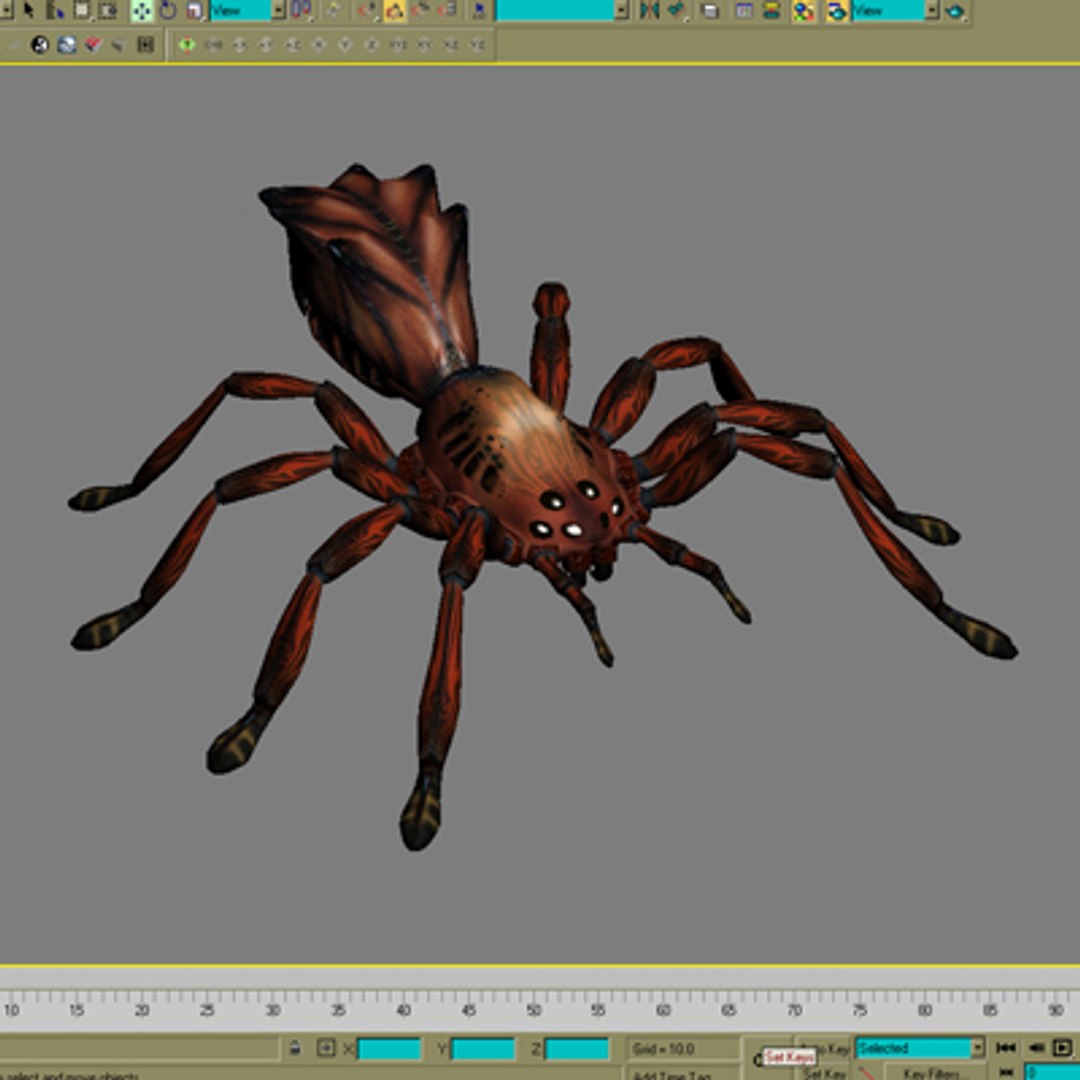 Red Spider 3d Max