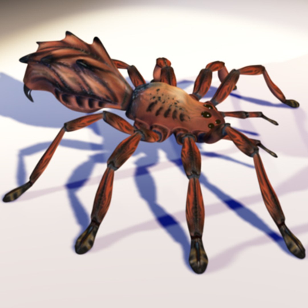 Red Spider 3d Max