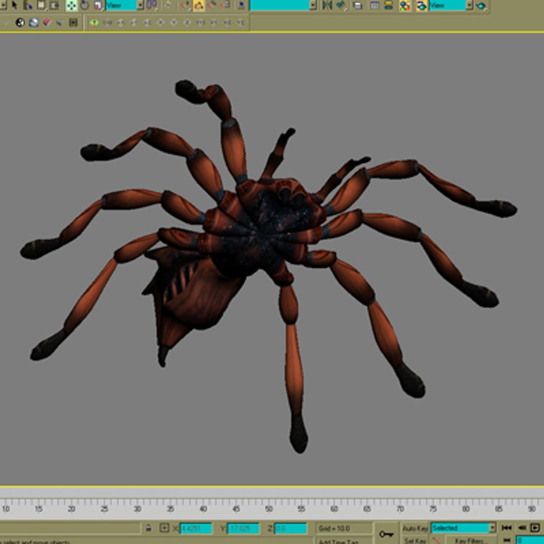 Red Spider 3d Max