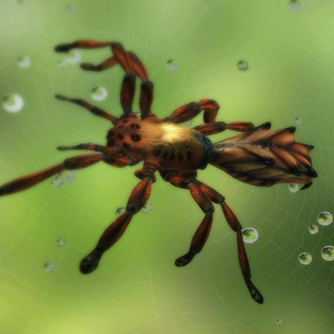 Red Spider 3d Max