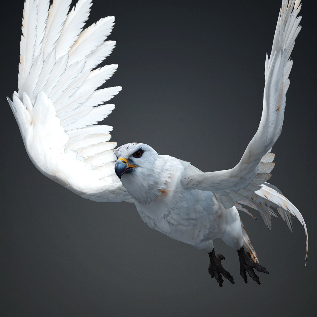 Hawk-A1 3D Model - TurboSquid 2503278