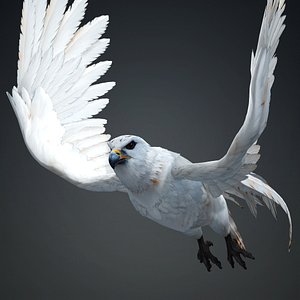 Hawk-A1 3D model