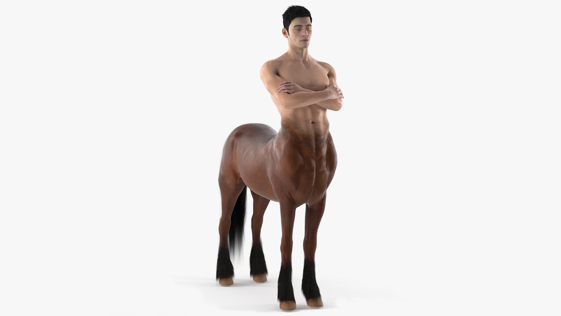 Male Centaur with Crossed Arms Fur for Cinema 4D 3D model preview