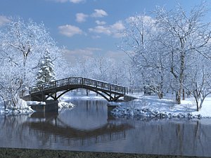 Winter Snow Scene