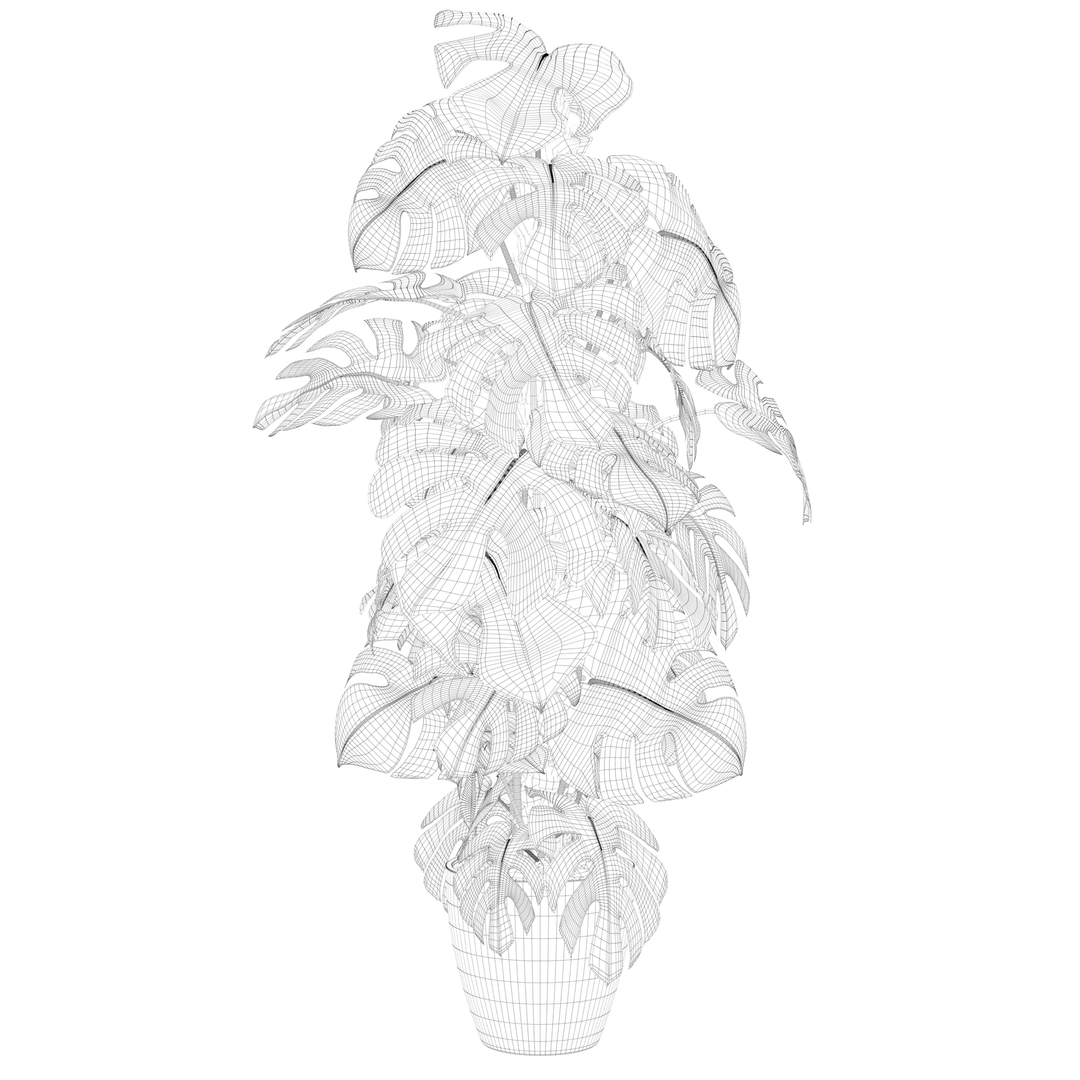 3D monstera https://p.turbosquid.com/ts-thumb/0h/ei2DO9/QMF8J9Ef/monstera1wire/jpg/1600691595/1920x1080/turn_fit_q99/30a2974b5400ba3d0a6bfc58010e1a7e5cfc03ab/monstera1wire-1.jpg