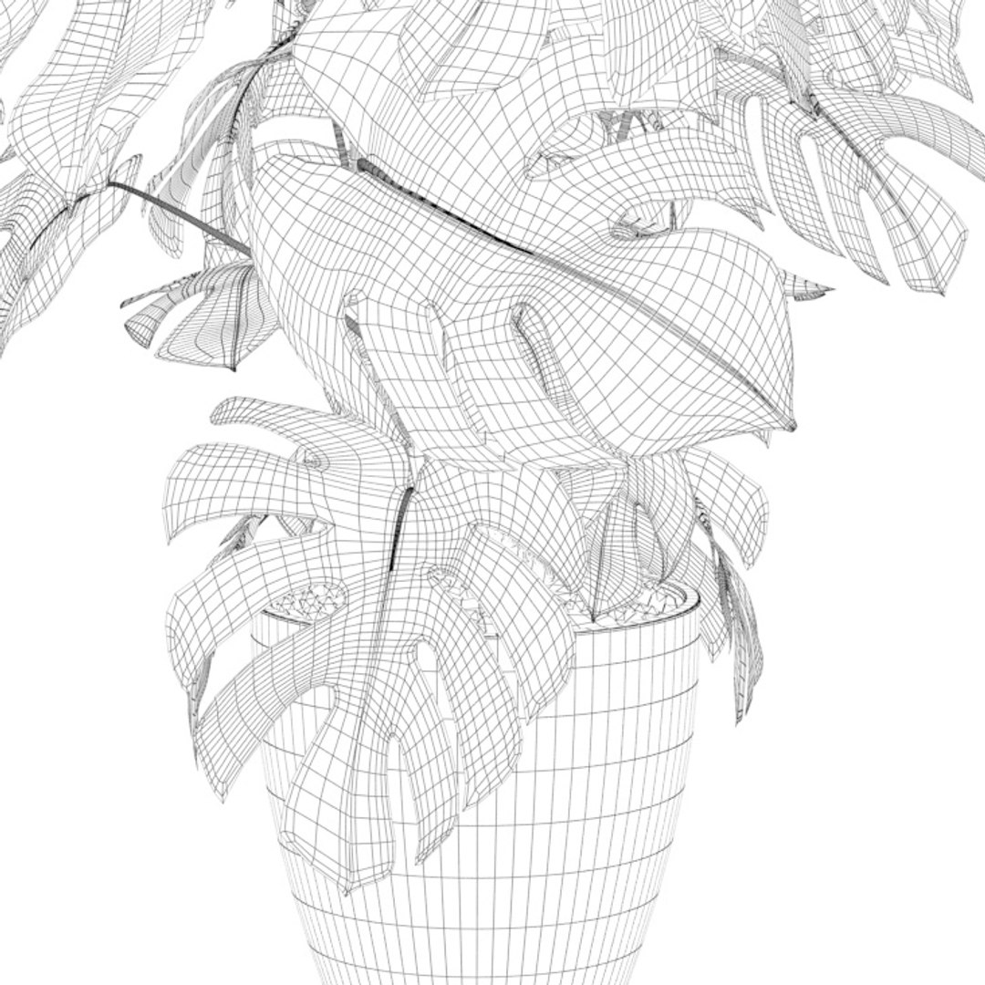 3D monstera https://p.turbosquid.com/ts-thumb/0h/ei2DO9/vnuLYGX4/monstera06e/jpg/1600691471/1920x1080/fit_q87/faa9e40eb7500827739f7d4713968959a1392480/monstera06e.jpg