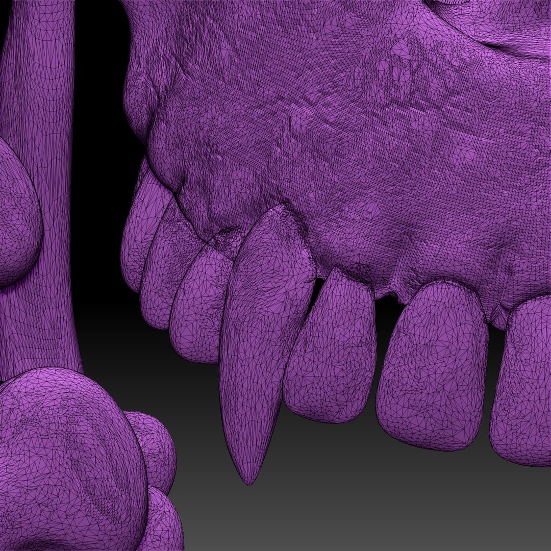 3D skull monster bas-relief stl file https://p.turbosquid.com/ts-thumb/0h/fuHUwr/PhPS6TN9/wframe2/jpg/1568206065/1920x1080/fit_q87/0025ac75f1cadf7bb1bbf737312dbcce7b1cb0f4/wframe2.jpg