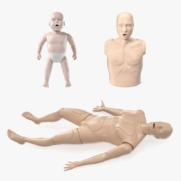 3D model aid training manikins