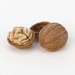 3dsmax realistic walnut real