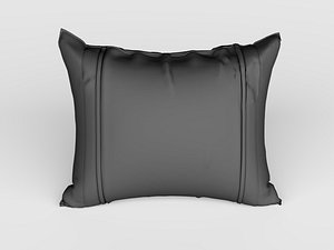 Modern Artistic Decorative Pillows and Creative Cushions 3D model