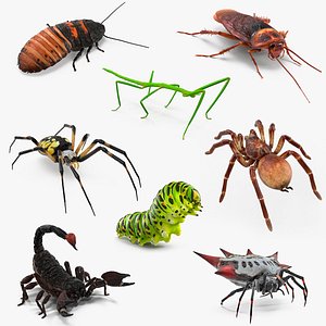 3D model Rigged Creeping Insects Collection 2 for Maya