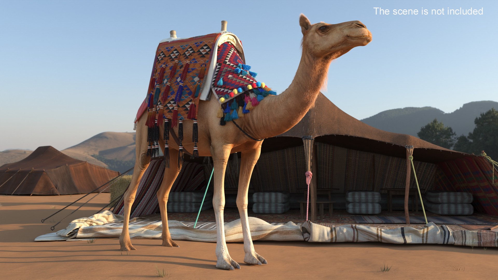 Camel with Decorated Saddle Fur Rigged 3D https://p.turbosquid.com/ts-thumb/0i/BqK3n9/SI/camel_with_decorated_saddle_fur_rigged_005/jpg/1740012159/1920x1080/fit_q87/d0cca83150967758b3729a8e8778ac9a0f44541b/camel_with_decorated_saddle_fur_rigged_005.jpg