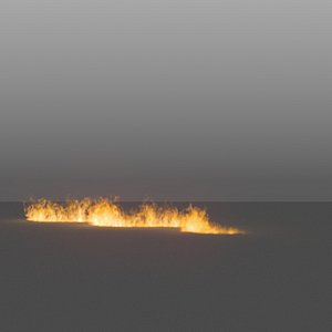 3D burning flames 15 vdb