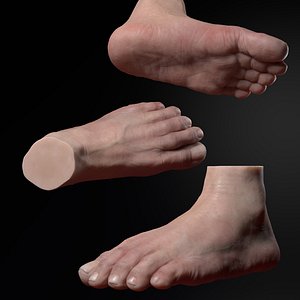 foot sculpt zbrush 3D model