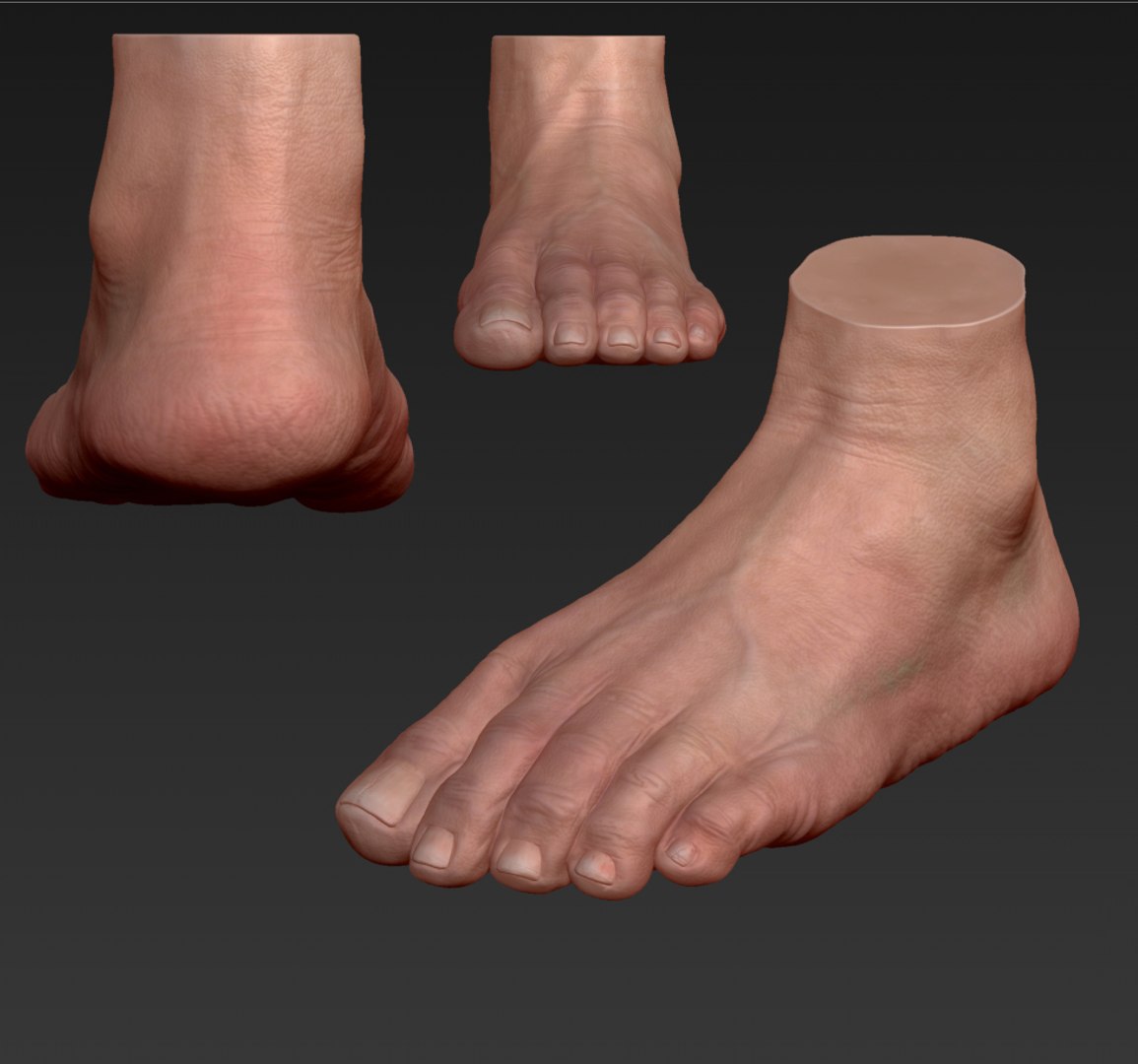 foot 3d model zbrush