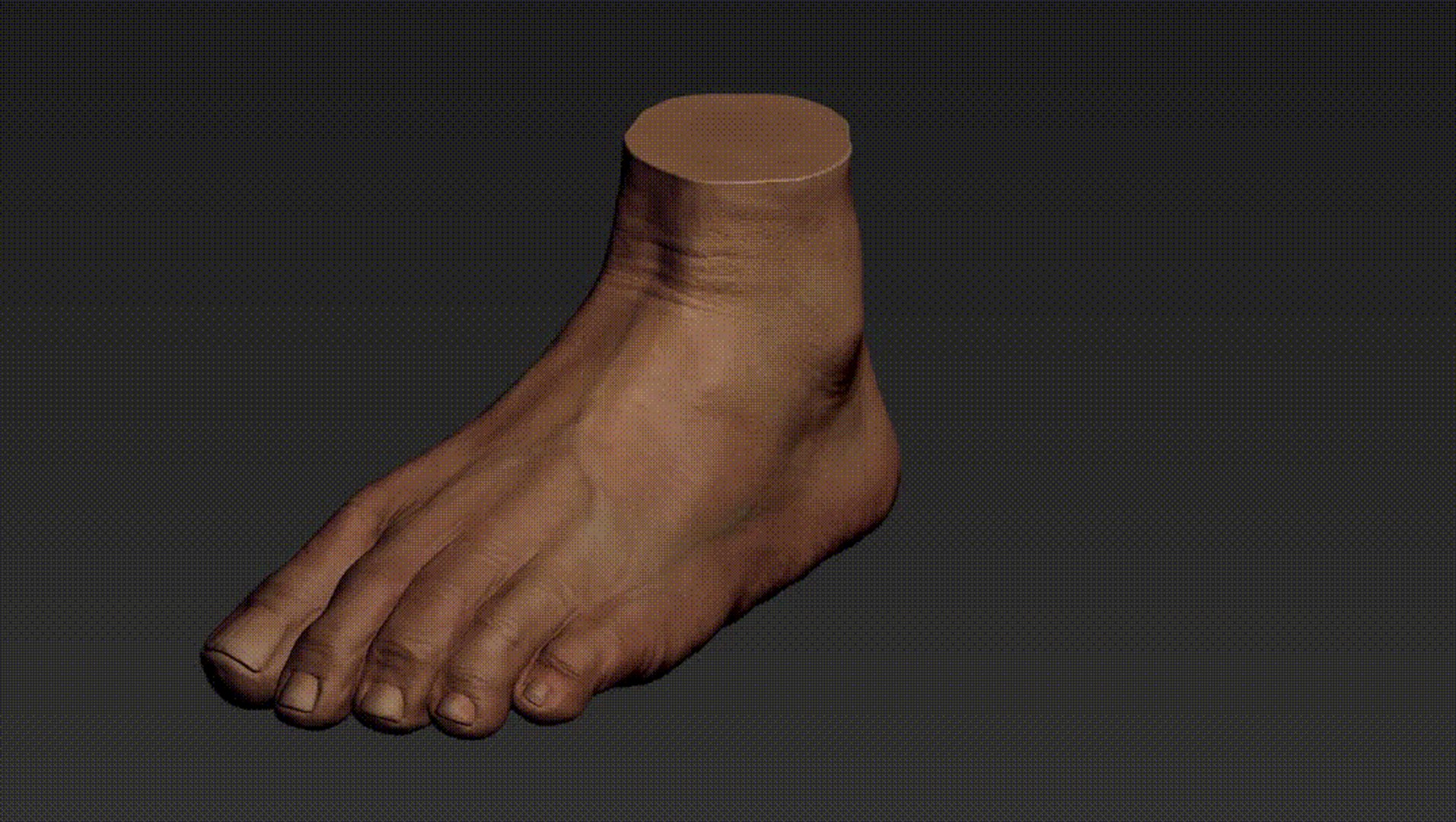 foot 3d model zbrush