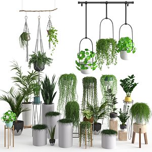 Plants collection vol 7