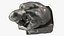 Collection de sculptures en bronze 11