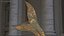 Collection de sculptures en bronze 11