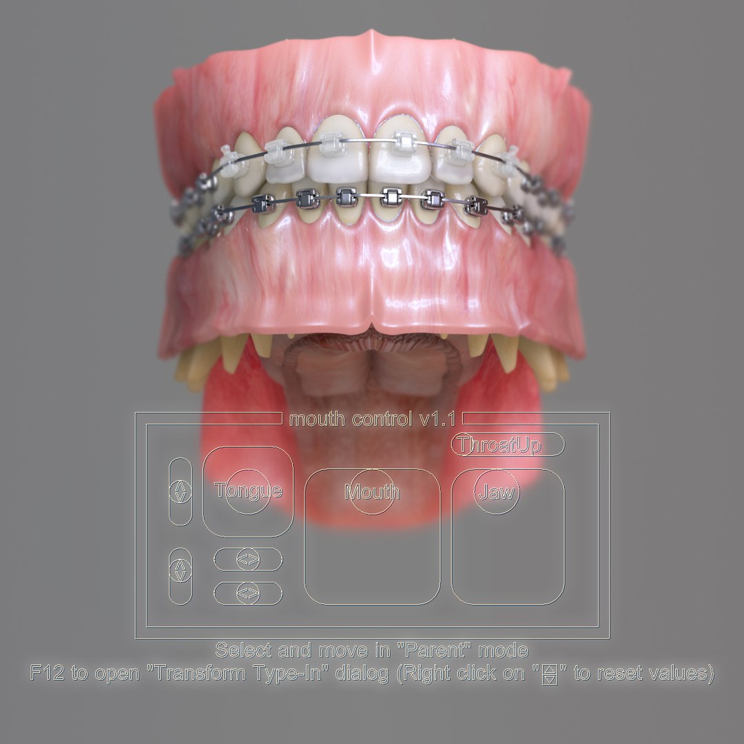 realistic dentition braces 3d max https://p.turbosquid.com/ts-thumb/0i/qVXpaE/RXXDYUkc/controls/jpg/1409097718/1920x1080/fit_q87/510e6edf5b44e4d1eeea662b799470556739d88e/controls.jpg