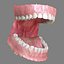 Dentizione permanente con bretelle