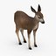 Real Time Textured Deer Fawn