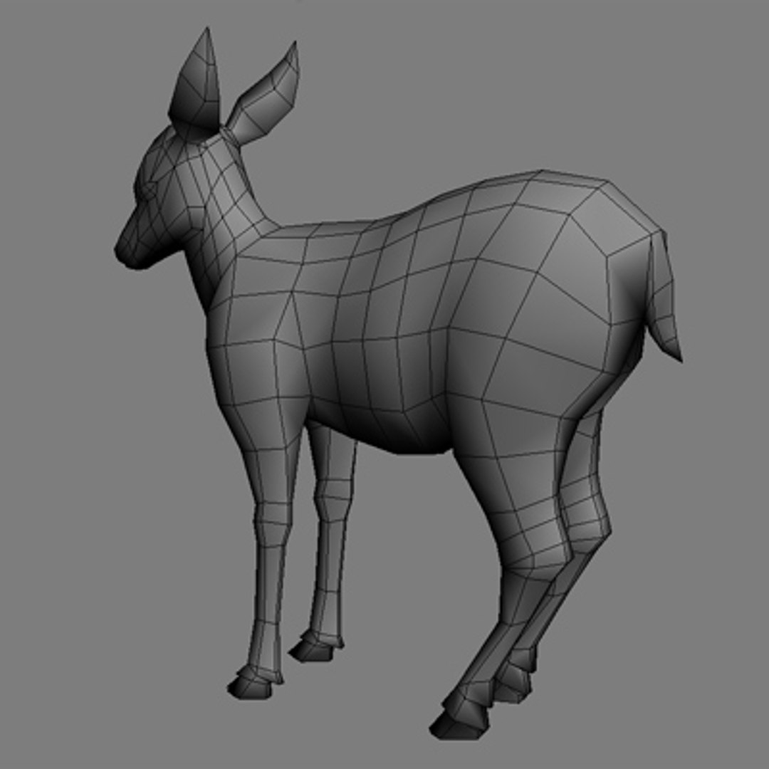 3d model deer fawn https://p.turbosquid.com/ts-thumb/0i/slqUcc/eFPNTtIC/deer_fawn/jpg/1194898614/1920x1080/fit_q87/655d520723ba79840c1e91498275cf03fc8f63c9/deer_fawn.jpg