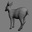 Real Time Textured Deer Fawn