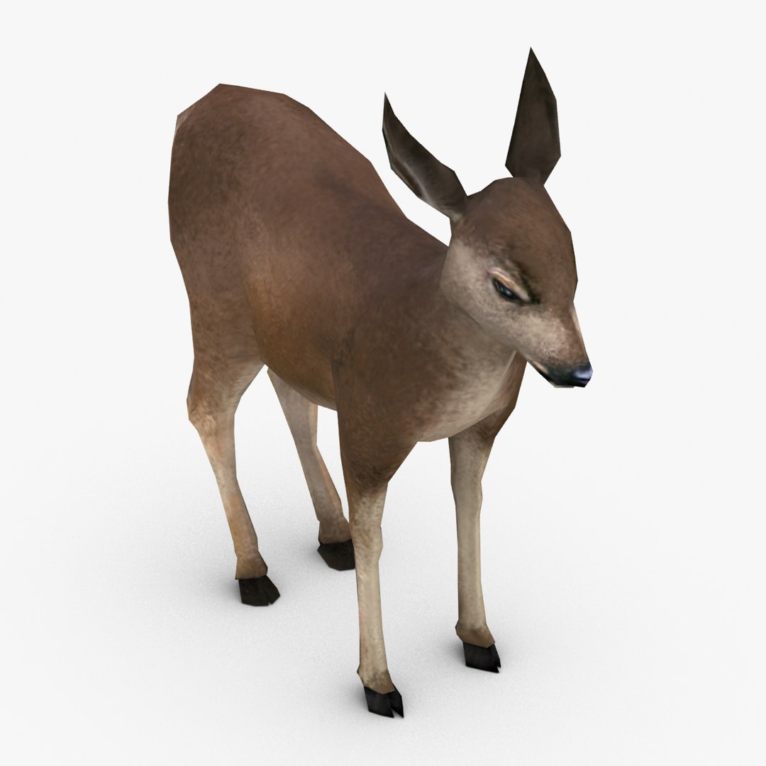 3d model deer fawn https://p.turbosquid.com/ts-thumb/0i/slqUcc/jMwCxihW/deer_fawn_textured/png/1328741753/1920x1080/fit_q87/cc4a2fb2d97129fde25efa6b3a464a09f847fe3f/deer_fawn_textured.jpg