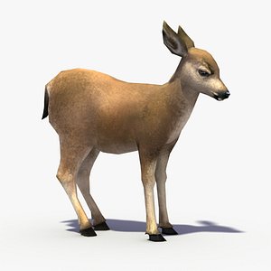 Real Time Textured Deer Fawn