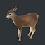 Real Time Textured Deer Fawn