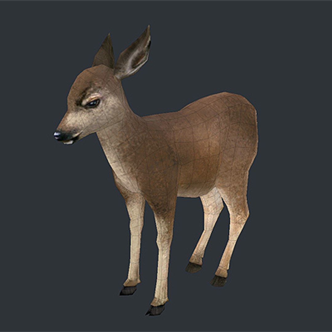 3d model deer fawn https://p.turbosquid.com/ts-thumb/0i/slqUcc/xnEJE2Fp/deer_fawn9/jpg/1194899010/1920x1080/fit_q87/f7a65d57c875e171062ee75e46cdc90f2c7d1e32/deer_fawn9.jpg