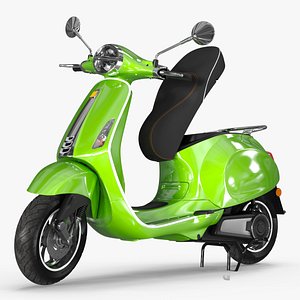 Electric Scooter Rigger 3D model