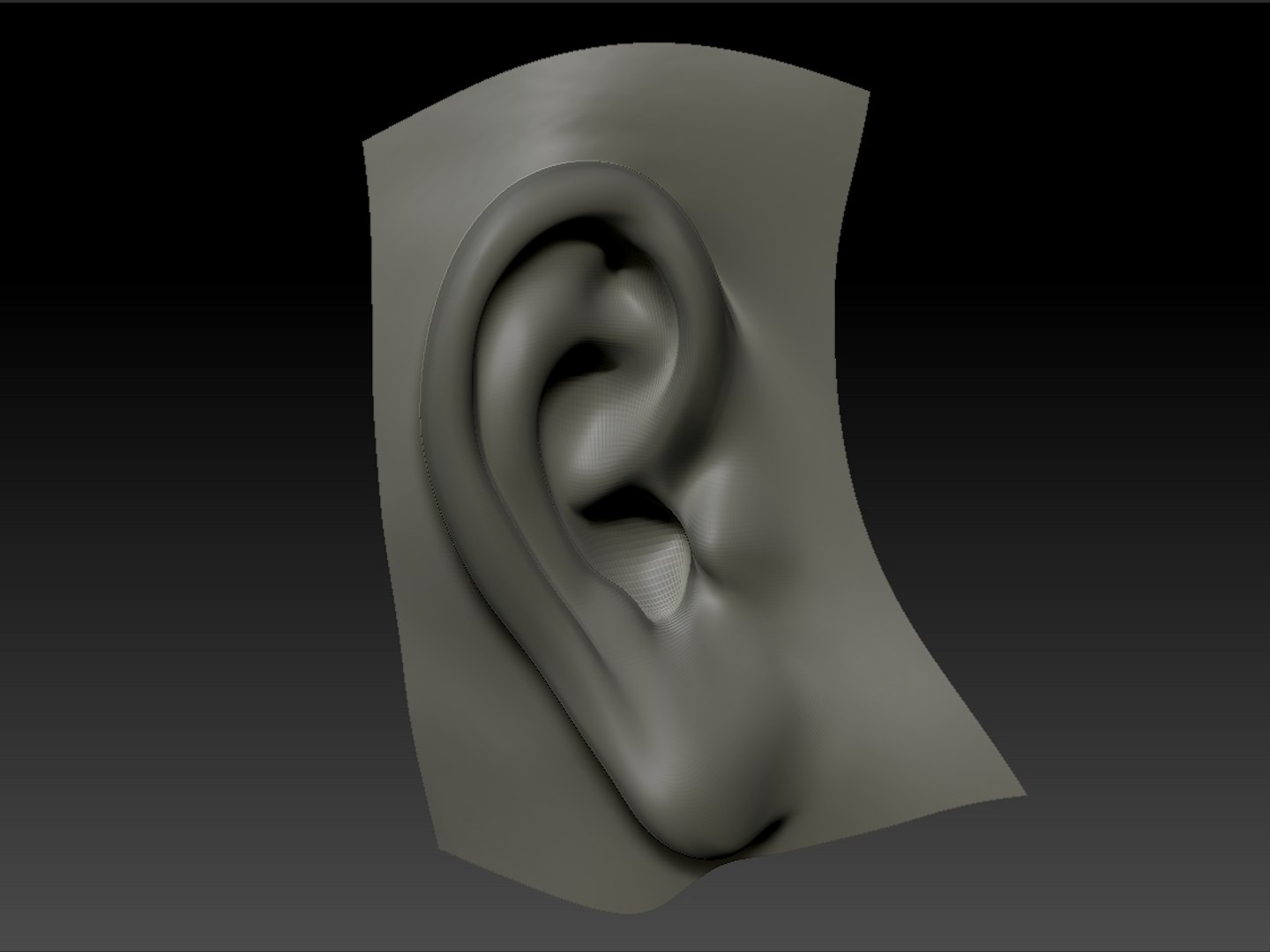 Obj Realistic Human Ear