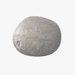 Sea Shore Stone 04