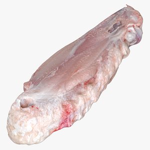 Chicken Wing 04