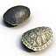3d turtle shells