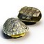 3d turtle shells