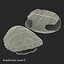 3d turtle shells