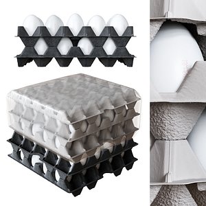 Tray of Eggs Wrapped in Plastic Wrapped