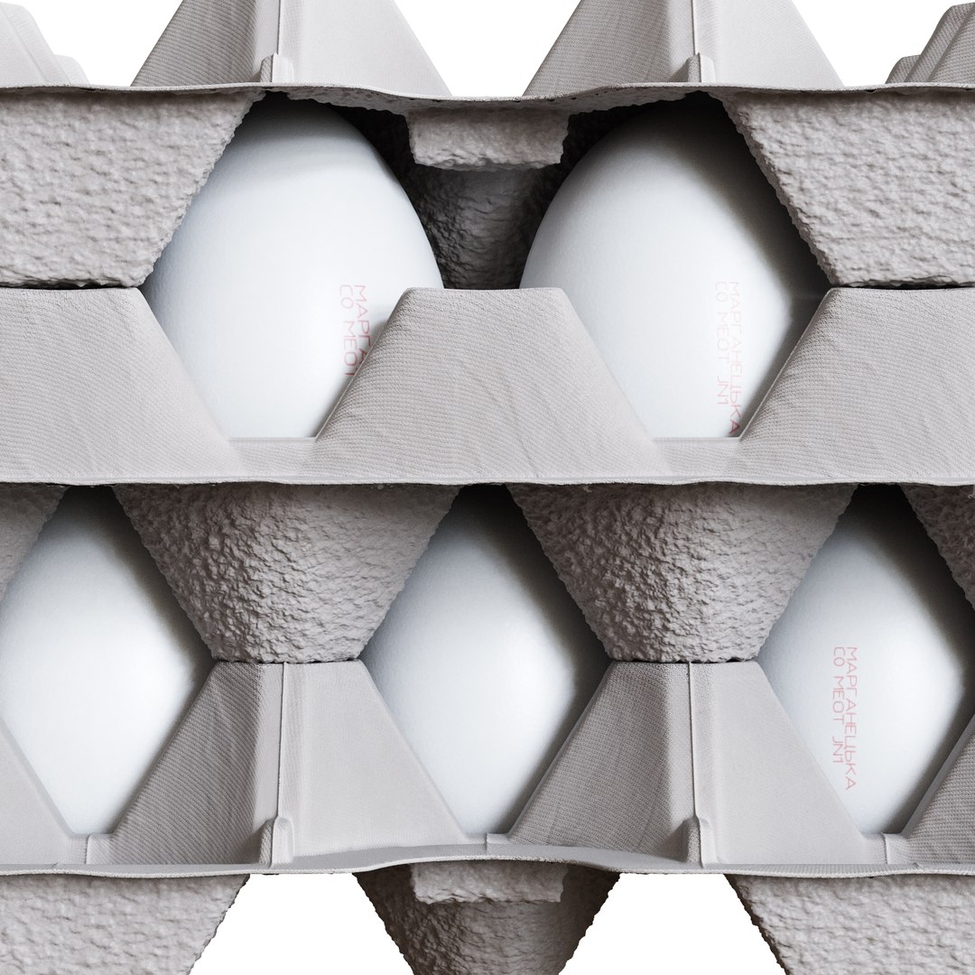 Eggs Tray Plastic Model - TurboSquid 1690316