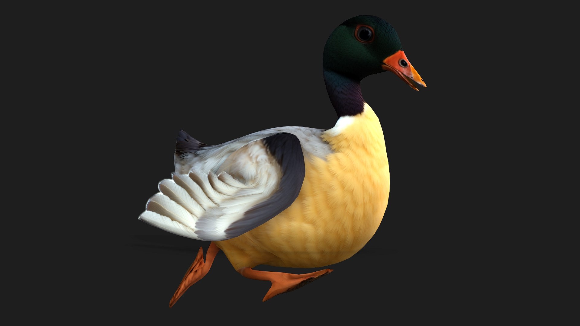 Duck-A7 3D model https://p.turbosquid.com/ts-thumb/0j/GPsKEr/DK/preview5/jpg/1751861788/1920x1080/fit_q87/c985885b5150fa6ea657b0a129be409a47c45626/preview5.jpg